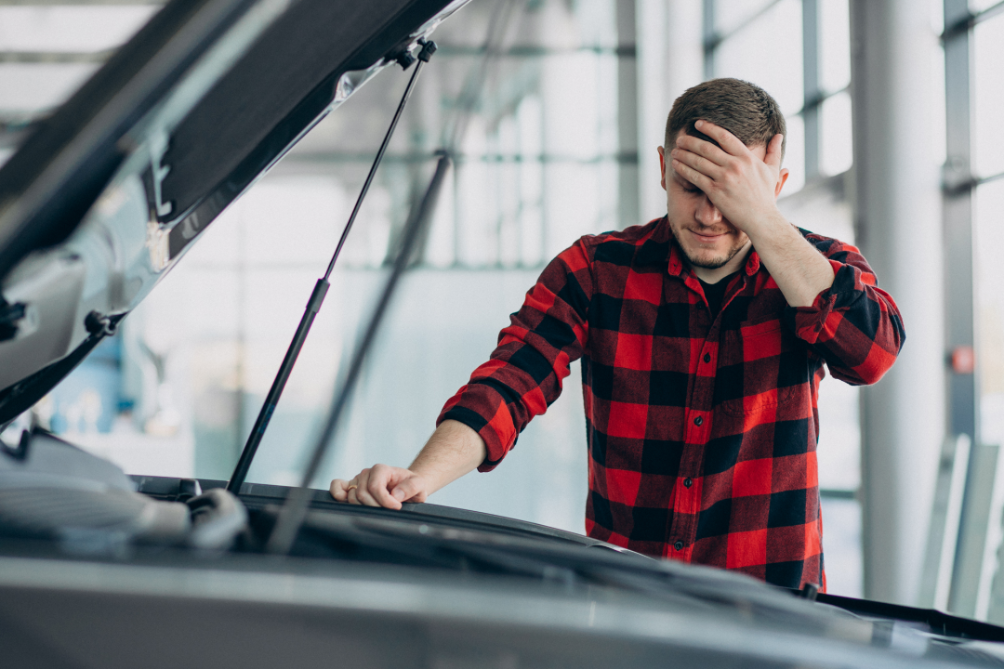 Garantia a un particular